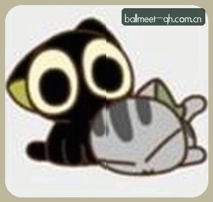 孙磊